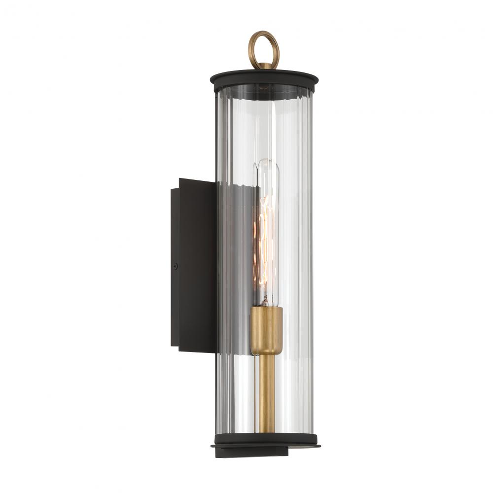 Cara - 1 Light Outdoor Wall Sconce