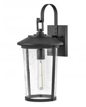 Lark 82024BK - Medium Wall Mount Lantern