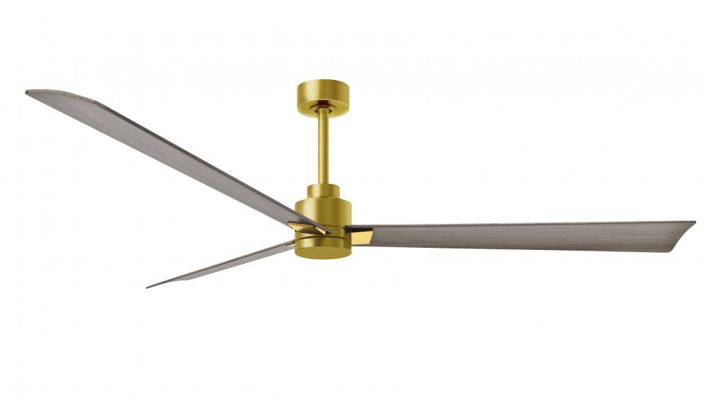 Alessandra 3-blade transitional ceiling fan in brushed brass finish with gray ash blades. Optimize