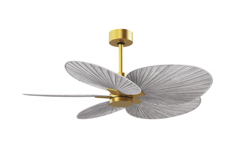 Alessandra Tropical 5-blade ceiling fan in Brushed Brass and Barn Wood Tone blades.