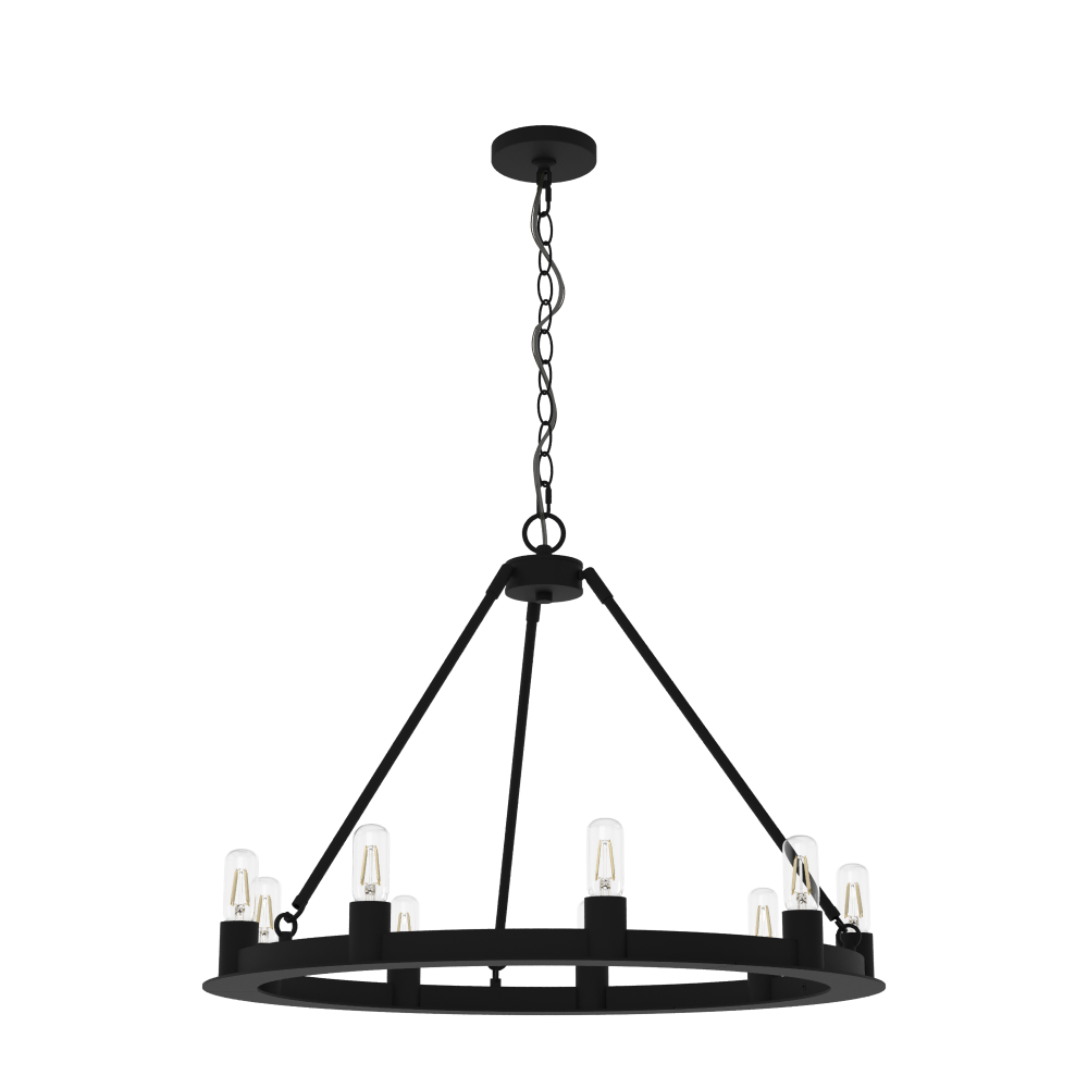 Hunter Saddlewood Natural Black Iron 9 Light Chandelier Ceiling Light Fixture