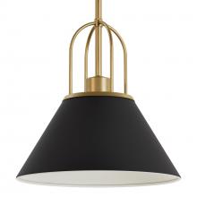 Hunter 13163 - Hunter Carrington Isle Matte Black and Luxe Gold 1 Light Pendant Ceiling Light Fixture