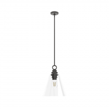 Hunter 19441 - Hunter Klein Noble Bronze with Clear Glass 1 Light Pendant Ceiling Light Fixture