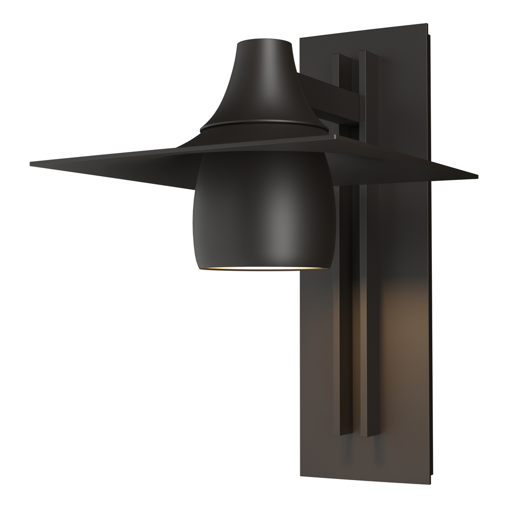 Hood Large Dark Sky Outdoor Sconce