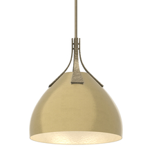 Hubbardton Forge 134502-SKT-MULT-84-86 - Summit Pendant