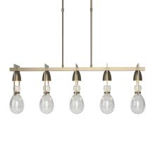 Hubbardton Forge 137810-SKT-LONG-84-ZM0572 - Apothecary Pendant