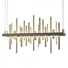 Hubbardton Forge 139725-LED-STND-20-84 - Cityscape LED Pendant