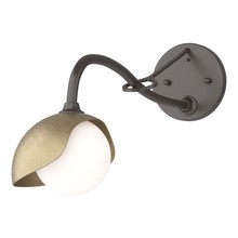 Hubbardton Forge 201376-SKT-14-84-GG0711 - Brooklyn 1-Light Single Shade Long-Arm Sconce