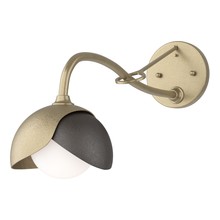 Hubbardton Forge 201377-SKT-84-14-GG0711 - Brooklyn 1-Light Double Shade Long-Arm Sconce