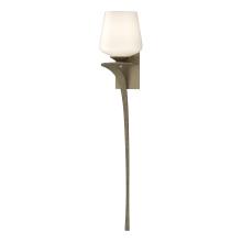 Hubbardton Forge 204710-SKT-LFT-84-GG0236 - Antasia Single Glass 1 Light Sconce