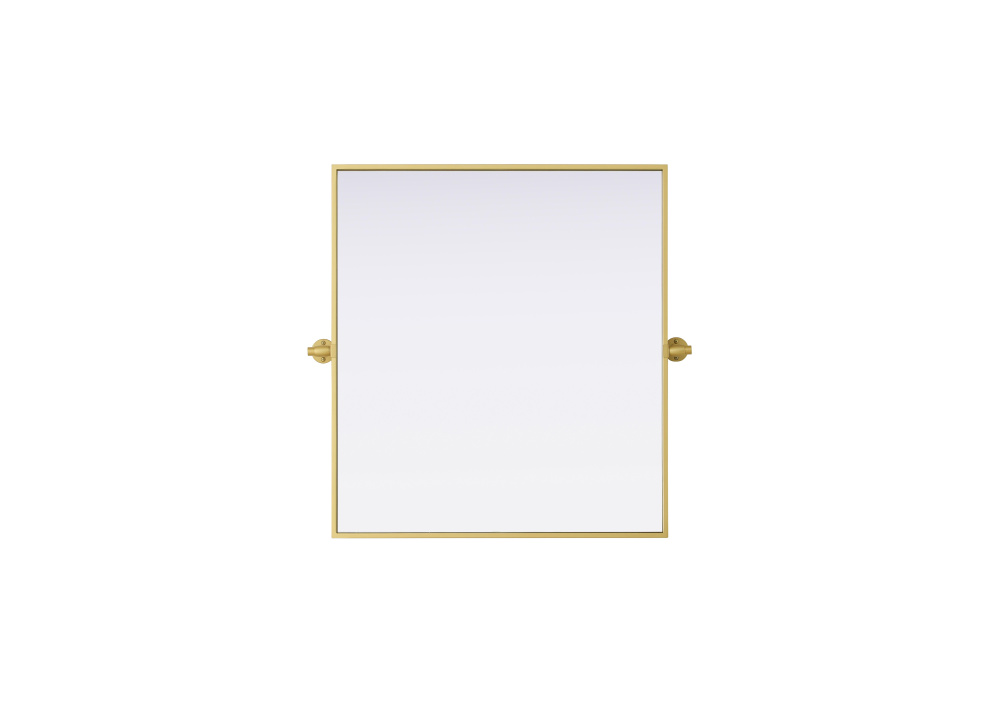 Amoura 27x30 Pivot Mirror in Brass