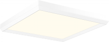 Page One Lighting PC111146-MH - Skylight Flush Mount