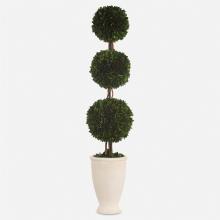  60223 - Uttermost Preserved Boxwood Triple Topiary