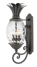 Hinkley 2124MB - Large Wall Mount Lantern