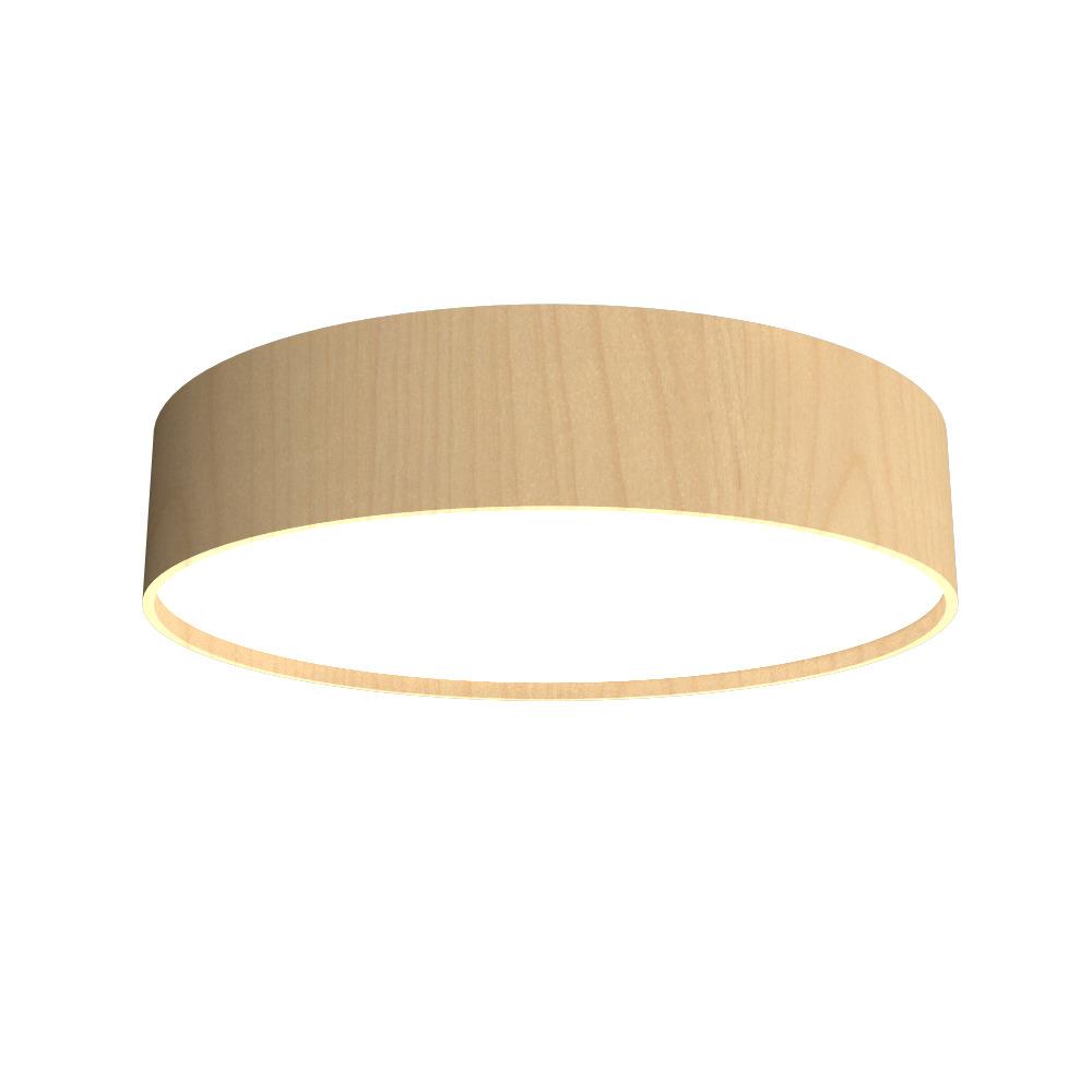 Cylindrical Accord Ceiling Mounted 5013 LED